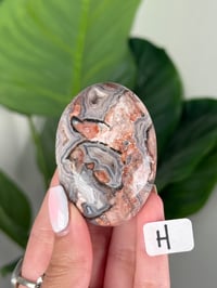 Image 8 of SANGRIA LACE AGATE PALM STONES LOT 2