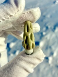 Image 1 of Morel Mushroom Pendant