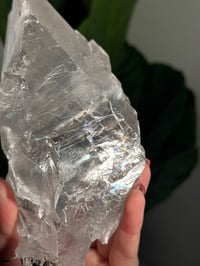 Image 7 of RAINBOW FILLED LA PLATOSA SELENITE -MEXICO- B