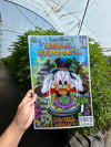 issue #2 Scrooge Mcduck