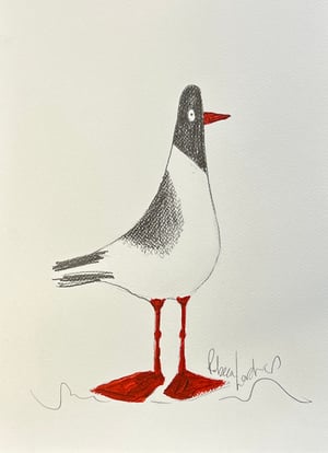 Image of Do You Like My Red Shoes?