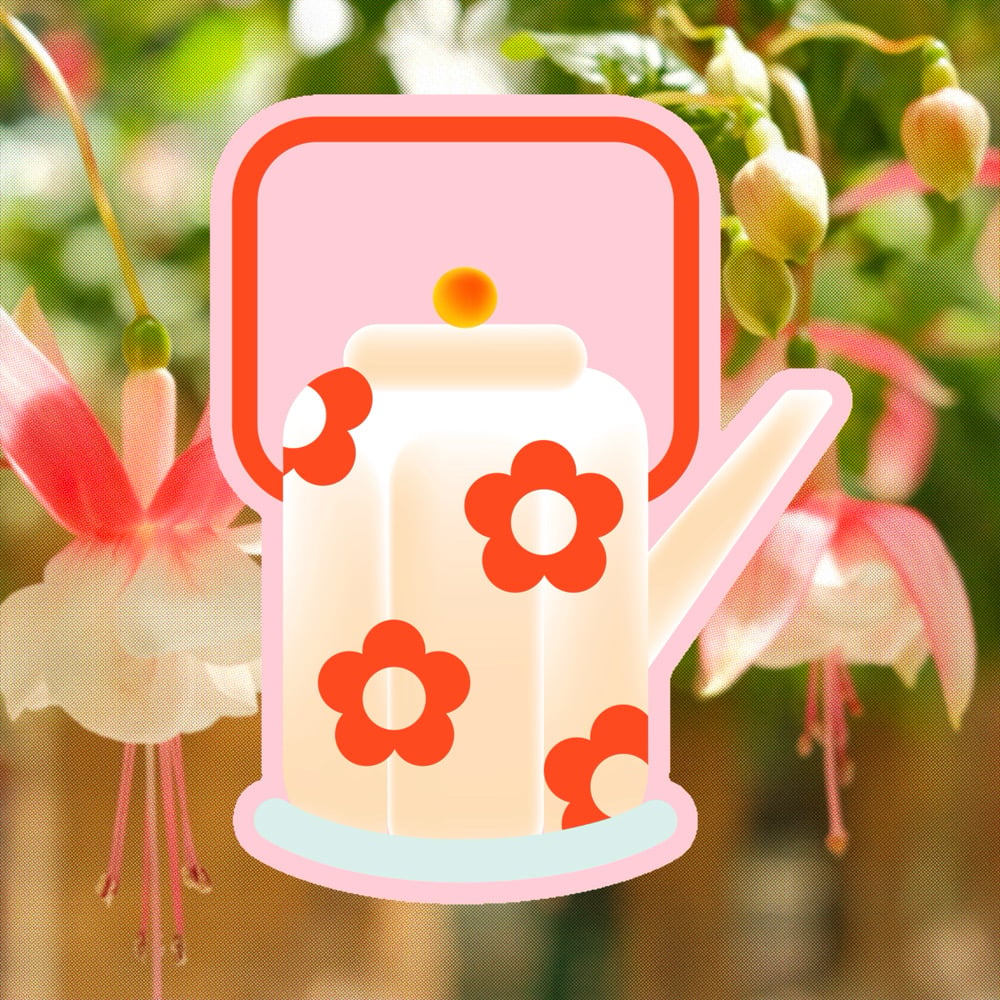 Image of TEA BLOOM STICKER + PRINT
