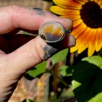 Image 2 of Dendrite Agate Bloom Ring~9