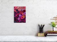 Image 4 of Dahlia Mix