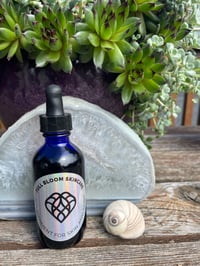 Image 3 of Night Moves Facial Elixir