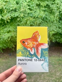 Image 2 of Goldfish Pantone Card