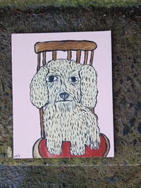 Image 8 of Crusty Dog