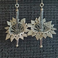 Image 3 of Starburst