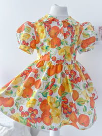 Image 1 of Fruit Salad Fancy - 3 years 