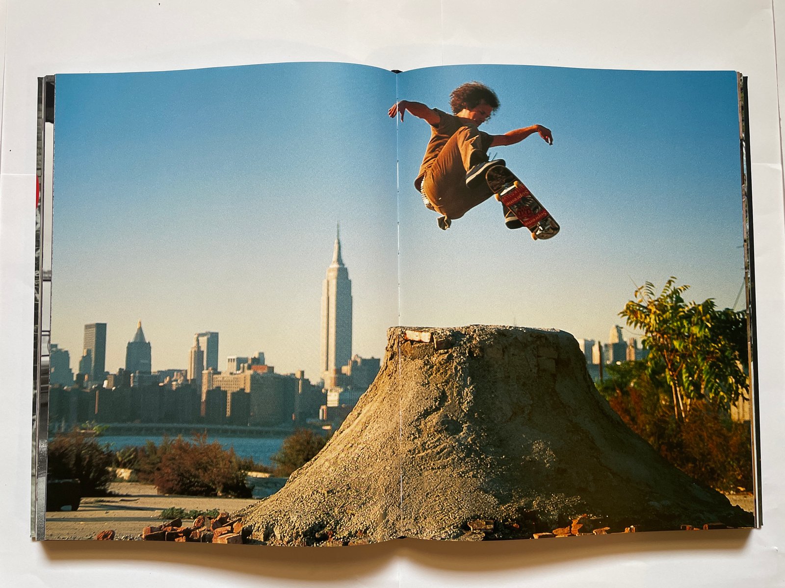 FULL BLEED NEW YORK CITY SKATEBOARD | Messenger 841