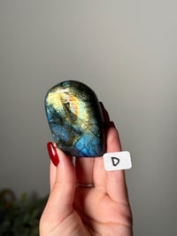 Image 5 of SMALL LABRADORITE FREEFORMS LOT B