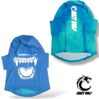 Image 1 of C Logo Thermal Ski Mask Blue/Green