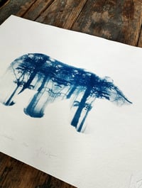 Image 2 of Cyanotype de "Balade en forêt"