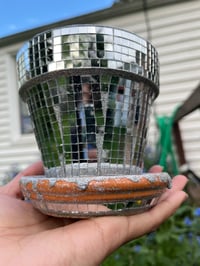 Image 2 of Drippy Disco Plant Pot