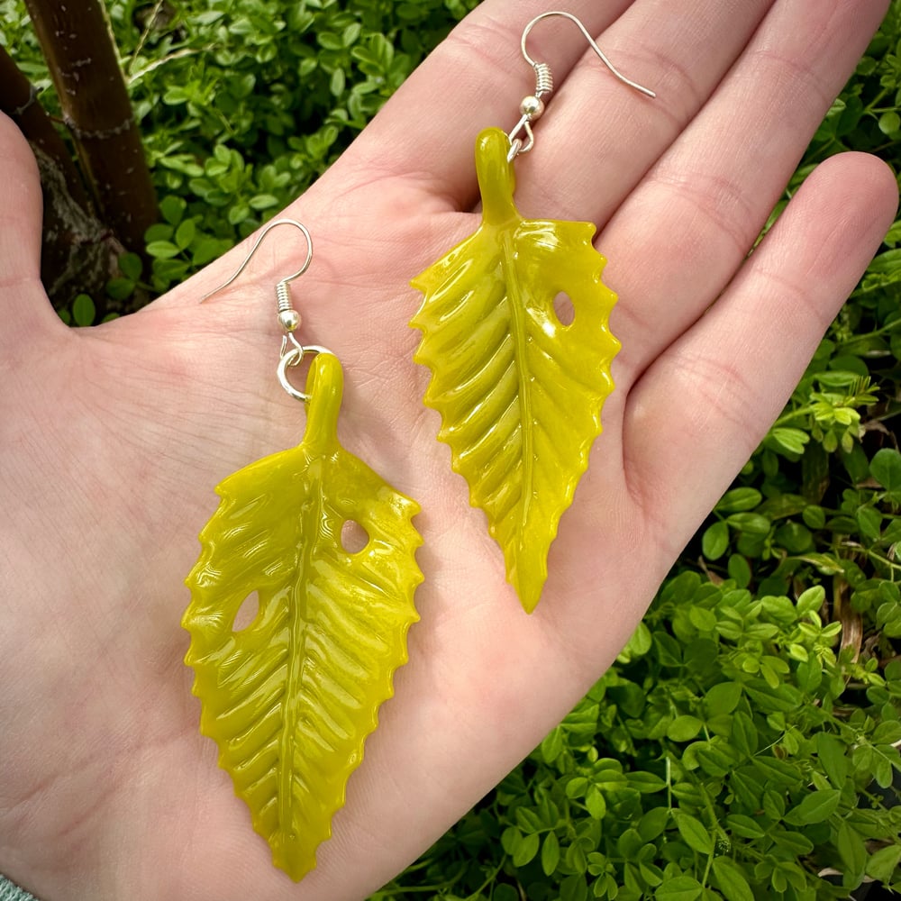 Image of Leaf earrings (large)