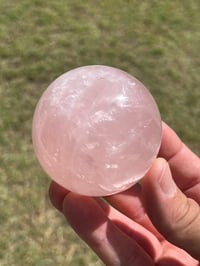 Image 7 of Star Rose Quartz Sphere #2982
