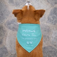 Image 3 of ΦΟΥΛΑΡΙ ΣΚΥΛΟΥ ΜΠΑΛΑΚΙΑ