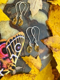 Image 3 of Simple Long Citrine Earrings
