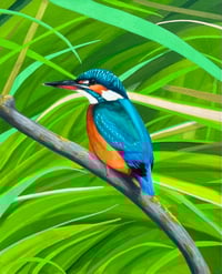 Kingfisher