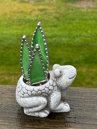 Spike plant with frog pot 
