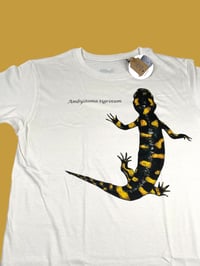 Image 2 of T-shirt TIGRINUM 