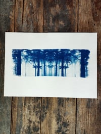 Image 1 of Cyanotype "Forêt"