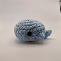 Image 2 of Finfetti the Whale