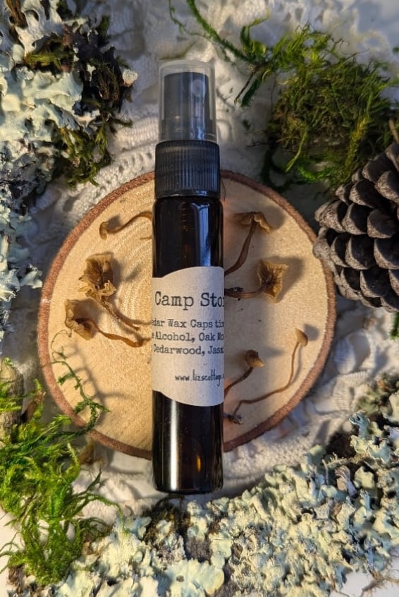 Image of Camp Stories perfume