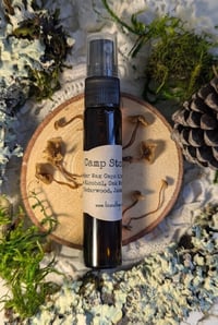 Image 1 of Camp Stories perfume