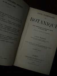 Image 4 of Cours élémentaire de Botanique, A.Mangin,1886