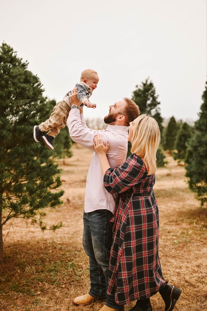 Image of Christmas Tree Farm - December 1st