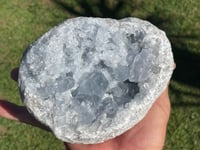 Image 4 of Celestite Geode #1950