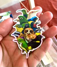 Image 2 of Aves de Puerto Rico • Sticker