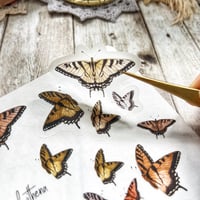 Image 2 of Fall Butterflies | Premium Transparent Sticker Sheet