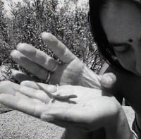 Image 4 of Pet / Companion : Reiki / Animal Communication