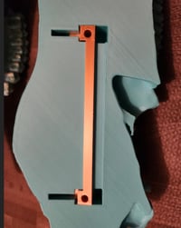 Image 3 of Deer Skull Antler Mount Half Skull