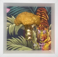 Gold Tiger 
