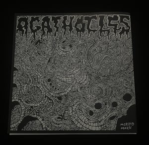 Image of Agathocles / Daisy Craters Split 