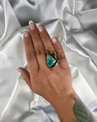 Image 2 of Fox Turquoise ring size 7.5