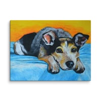 Image 1 of Blue Heeler Sunrise Sunset