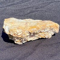 Image 5 of Large Desert Jasper with Micro Druzys