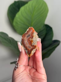 RAINBOW CONDOR AGATE -ARGENTINA- #18 OTHER HALF