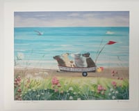 Image 2 of Wild beach tours