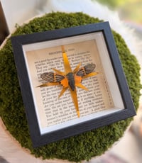Image 4 of Golden Cicada 