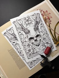 Horned Skull