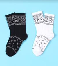 Paisley (multiple options)