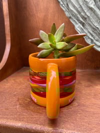 Image 2 of Coppertone Stonecrop in Krabby Patty Mug