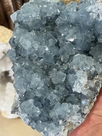 Image 12 of Celestite Open Crystal Cluster #2589