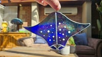 Image 1 of Sting ray 1