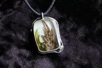 Image 1 of dead good frog paw necklace reduced due to scratch 
